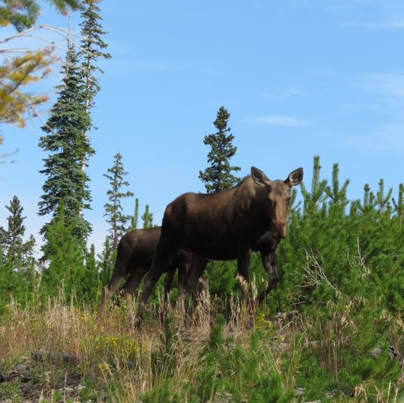 Meet your Posher, Kimberly - Picture 1 of 1